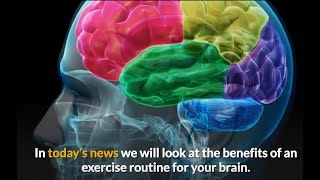 You Need an Exercise Routine for Your Brain