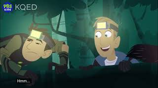 Wild Kratts - Aye-Aye - full episode