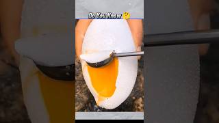 जापान का सफ़ेद आम 😨 | White Mango #shorts #facts #viral #shortvideo