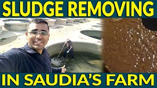 How Fish Tank's Sludge Remov in Saudia Arabia's Fish Farms