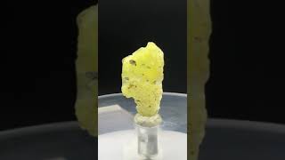 Rare 17 ct Brucite Specimen from Balochistan, Pakistan for 15$ #trending #shortvideo #viralvideo