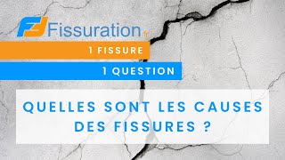 Quelles sont les causes des fissures sur les maisons ?