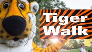 Fall Welcome 2014: Tiger Walk