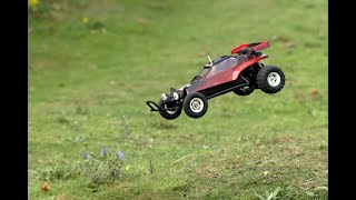 Tamiya Hornet: Jumps