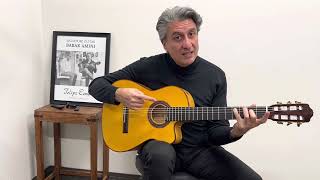 Babak Amini Guitar Classes #130, Scales, Chords and Harmony #80