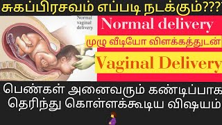 normal delivery pregnancy tips in tamil | normal labor in tamil | சுகப்பிரசவம் எப்படி நடக்கும்?