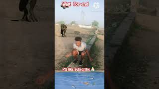 dinosour magic funny video gajab ka jadu🤣mind blowing illusion #shorts#magic#funny#viral#video