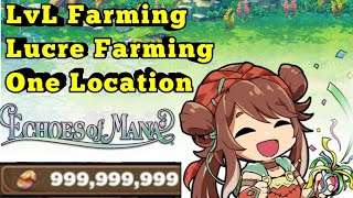 Power LvL , Gold Farming One Location ~ Echoes Of Mana