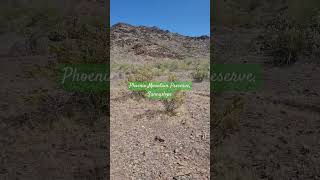 Phoenix Mountain Preserve, on the Sunnyslope side #Arizona #Mountains #Sunnyslope