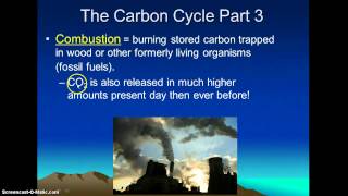 Topic 2.3 Cycles (Water, Carbon, Nitrogen)