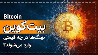 بیت کوین؛ حمایت‌ها و مقاومت‌های مهم| تحلیل دقیق بیت‌کوین|نهنگ‌های بیت کوین در چه قیمتی خرید می‌کنند؟