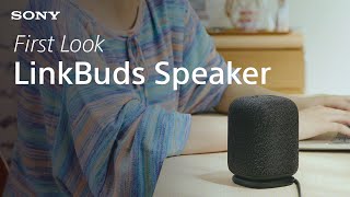 First Look: Sony LinkBuds Speaker