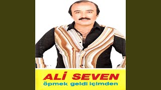 Seveceksin Çaresi Yok