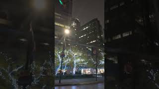 Shimmering Trees Light Up Downtown #light #tree #treelighting #downtown