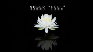 SOBER - FEEL (Mohd Rafi Iliyas Teknopolis Remix)