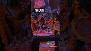 Krishna Janmashtami Celebration #krishna #iskcon  #iskcontemple #live #janmashtami #vrat #shorts