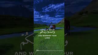 Quran best ayat|Quran tilawat|Quran recitation|#ytshorts #islamicstatus #quran #quranrecitation