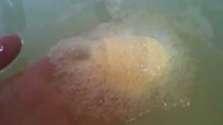 Honey Bun Bath Ballistic from Lush - Easter Product