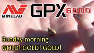 Minelab GPX 6000 | Victoria | Australia | August 2021 | Sunday morning Gold Gold Gold