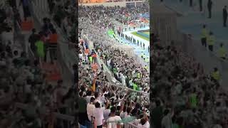 طرب جمهور الاهلي