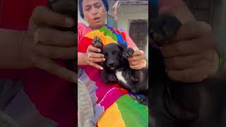 Diamond or Bhalu ki Dosti. #shortsvideo #shorts #doglover #dogvideos #petlover