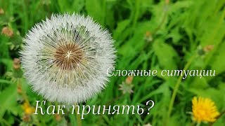 Осознанность. Сложные ситуации