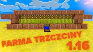 Jak zrobić FARMĘ TRZCINY CUKROWEJ w MINECRAFT 1.21