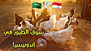 حراج الطيور في إندونيسيا 🇮🇩🇸🇦 🕊