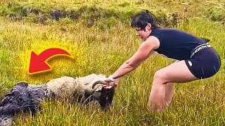 Girl's Hike Becomes Epic Rescue Mission After Hearing 'Baa' in the Mud!