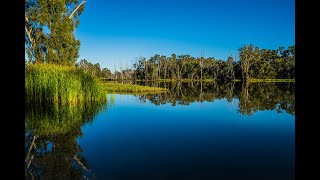 Bedford Weir Campground EP 14