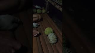 Nikmatnya tu disini ketika panen durian