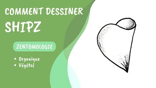 Comment dessiner le tangle Shipz?