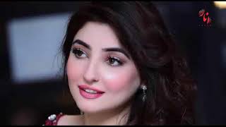 Gul Panra ( New Remix )