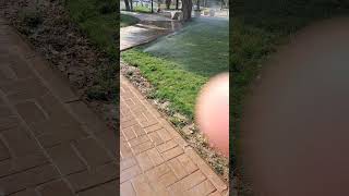 Grass watering at the park#viral #youtubeshorts