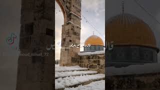 قلت يا أقصي سلاماً قال هل عاد صلاح ؟ 💔🇵🇸✌🏽