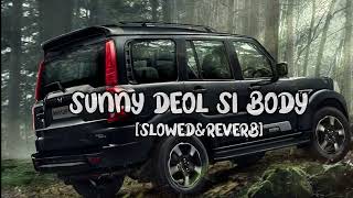 Sunny Deol Si Body (Slowed & Reverb)Raju Punjabi | Choudhar Jaat Ki Latest Haryanvi Song #viralsong