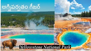 అగ్నిపర్వతం గీజర్|| Yellowstone National Park||Telugu Vlogs from USA