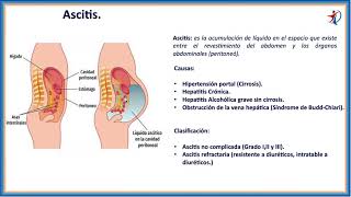 1   Abdomen Protocolo y Lineas Grasas