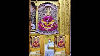 Shree Khatu Shyam Mandir Darshan Dariyapur ❤️🙏