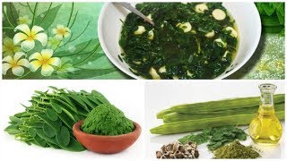 Que Es La Moringa 👋 Beneficios De La Planta Moringa