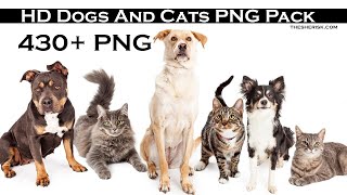 430+ Dogs And Cats HD PNG Files Download |Pet PNG Files| |Sheri SK|