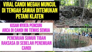 Viral Candi Megah Muncul di Tengah Sawah Ditemukan Petani, TERBARU SEMUA PELAKU PENCURIAN ARCA TEWAS