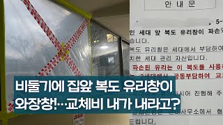 비둘기에 집앞 복도 유리창이 와장창!…교체비 내가 내라고?