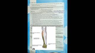 common peroneal vs tibial nerve| lower limb anatomy|fcps part-1 preparation forum