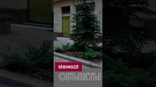 Объекты Steingot