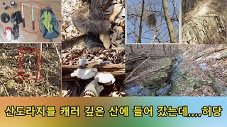 산도라지를 캐러 깊은 산에 들어 갔는데 ,,,,허당