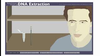 🧬Virtual DNA Extraction [AP Bio 6.8]