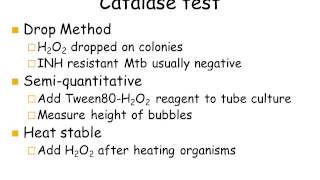 Part2 Mycobacteria