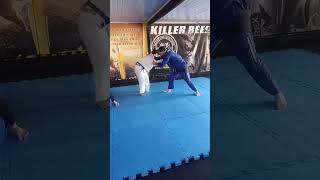 treino de jiu-jitsu da manhã