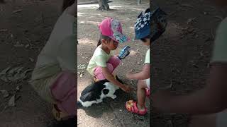 Anak kecil berbagi makanan dengan kucing liar#short